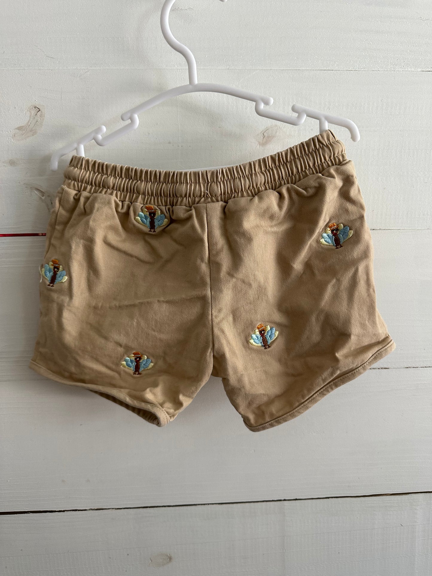 2T - Busy Bee's Thanksgiving Shorts and Matching Shirt