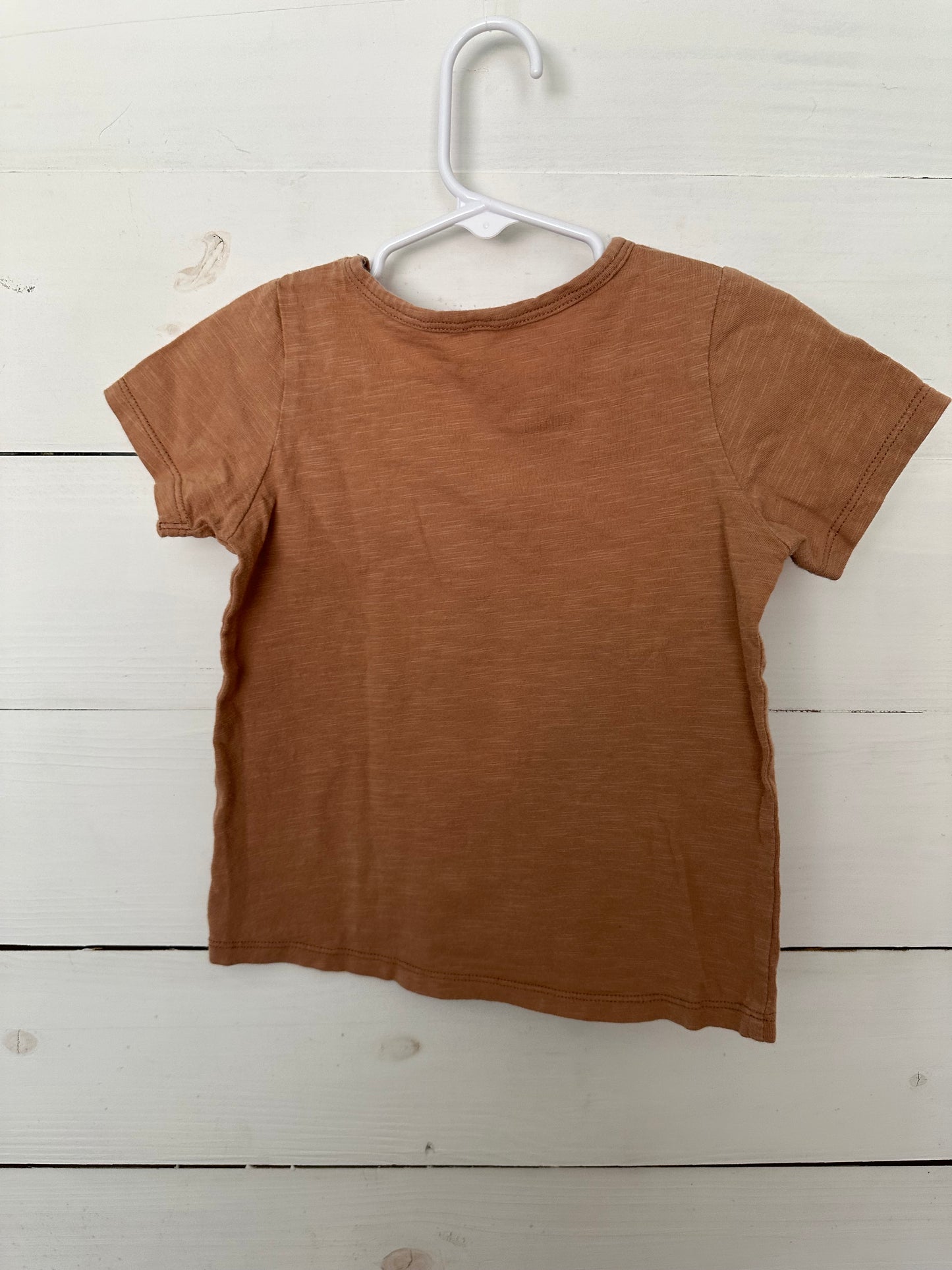 2/3T - Rylee + Cru Graphic Shirt - Rust with Water can and flowers