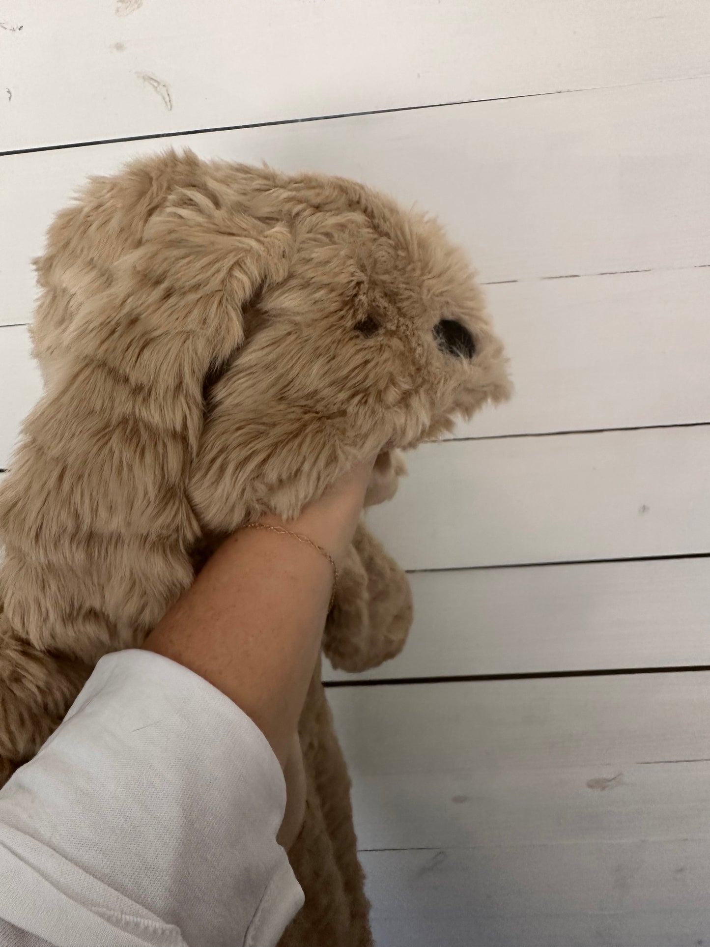 6-12M - Pottery Barn Kids - Puppy Dog Costume