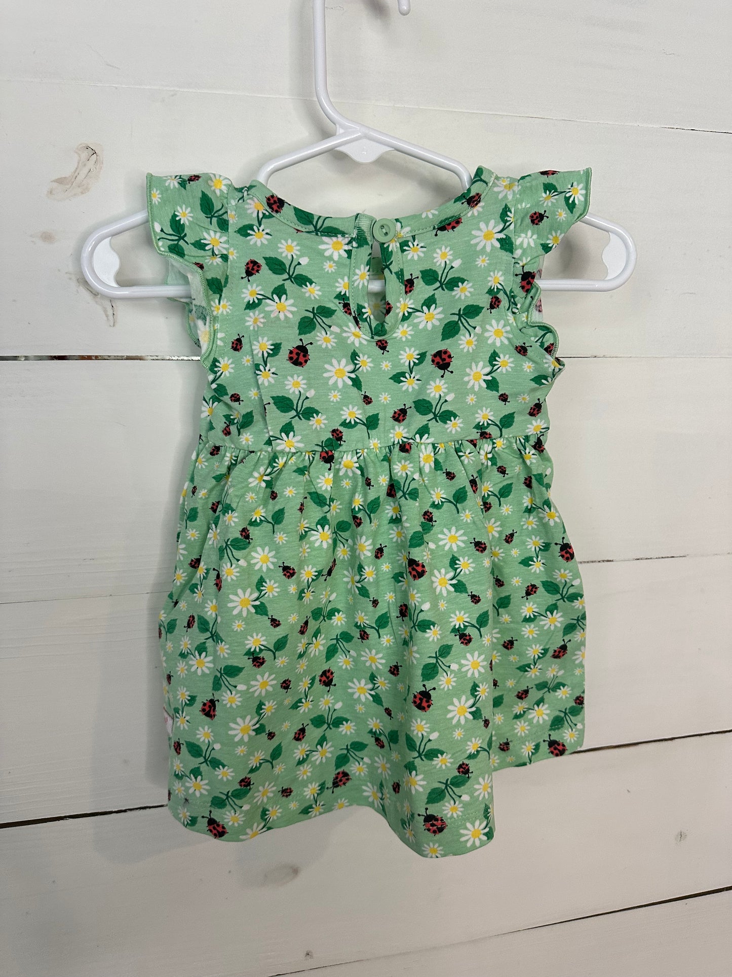 3-6M - Ruffle Butts Daisies and Lady Bug Dress NWT