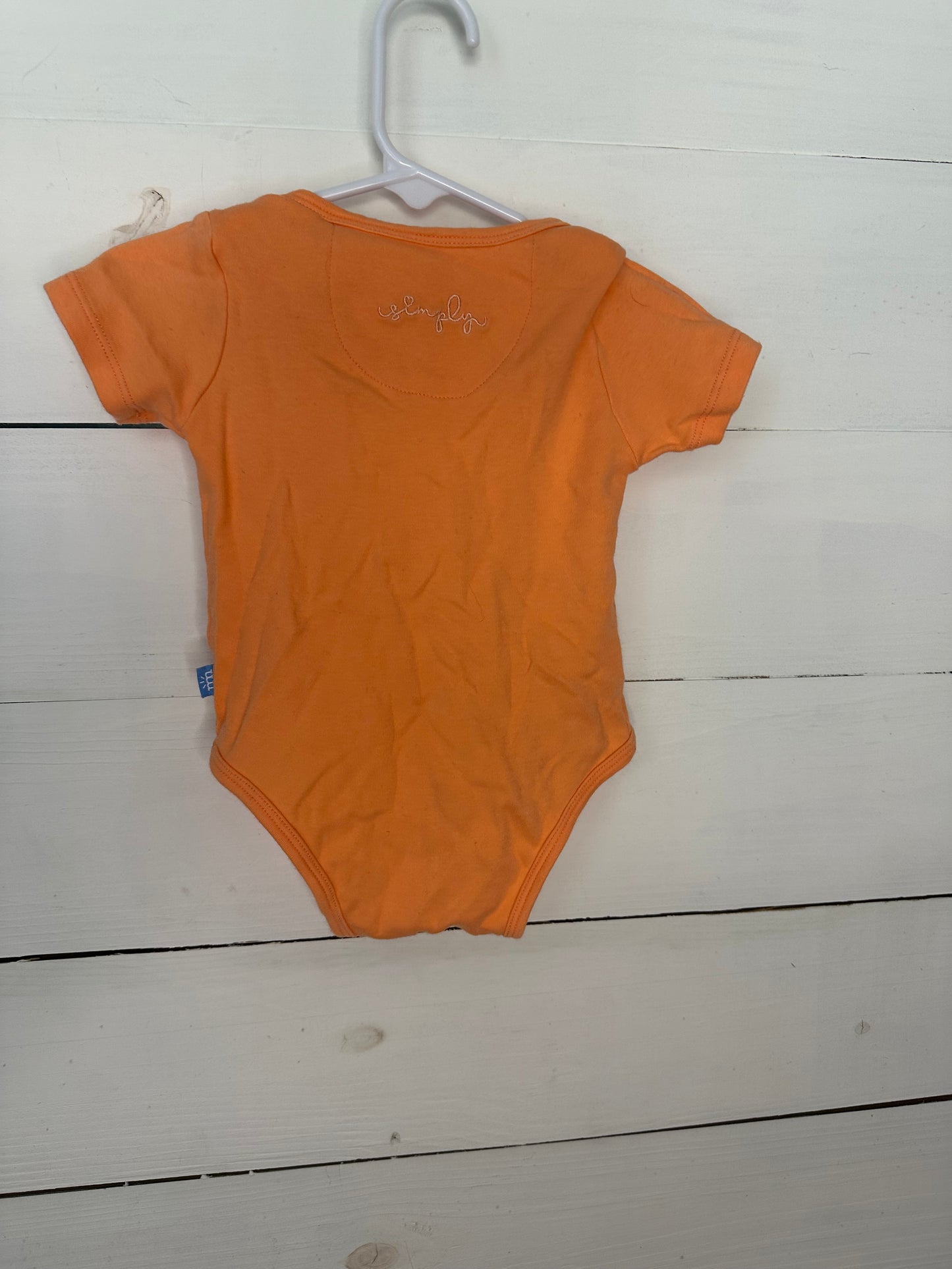 3-6M - Magnetic Me Orange Onesie