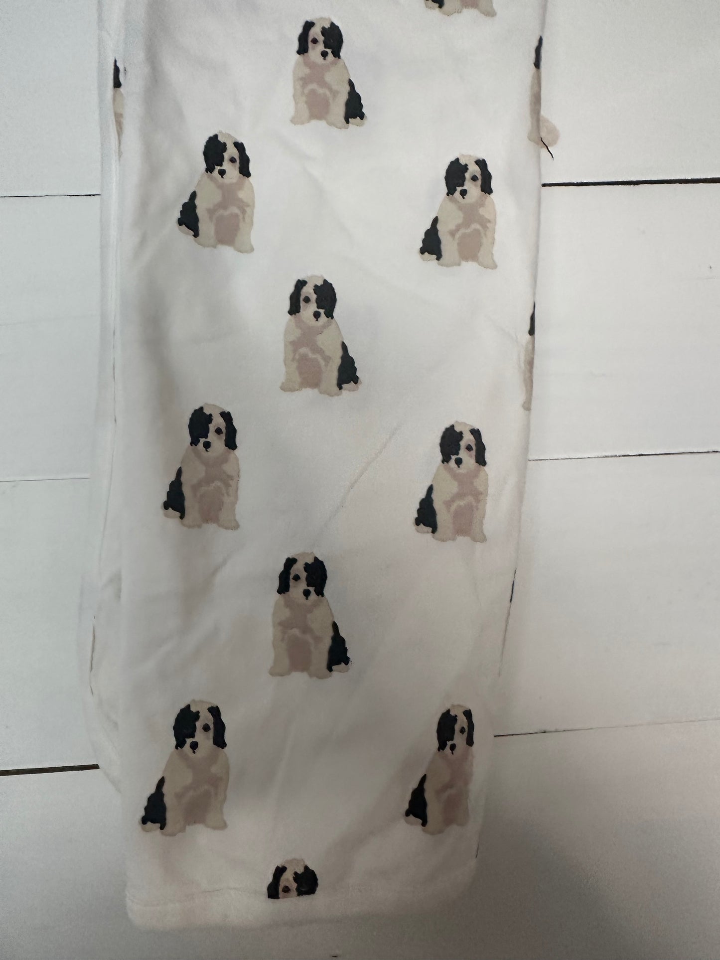 Monica & Andy Puppy Dog Receiving Blanket