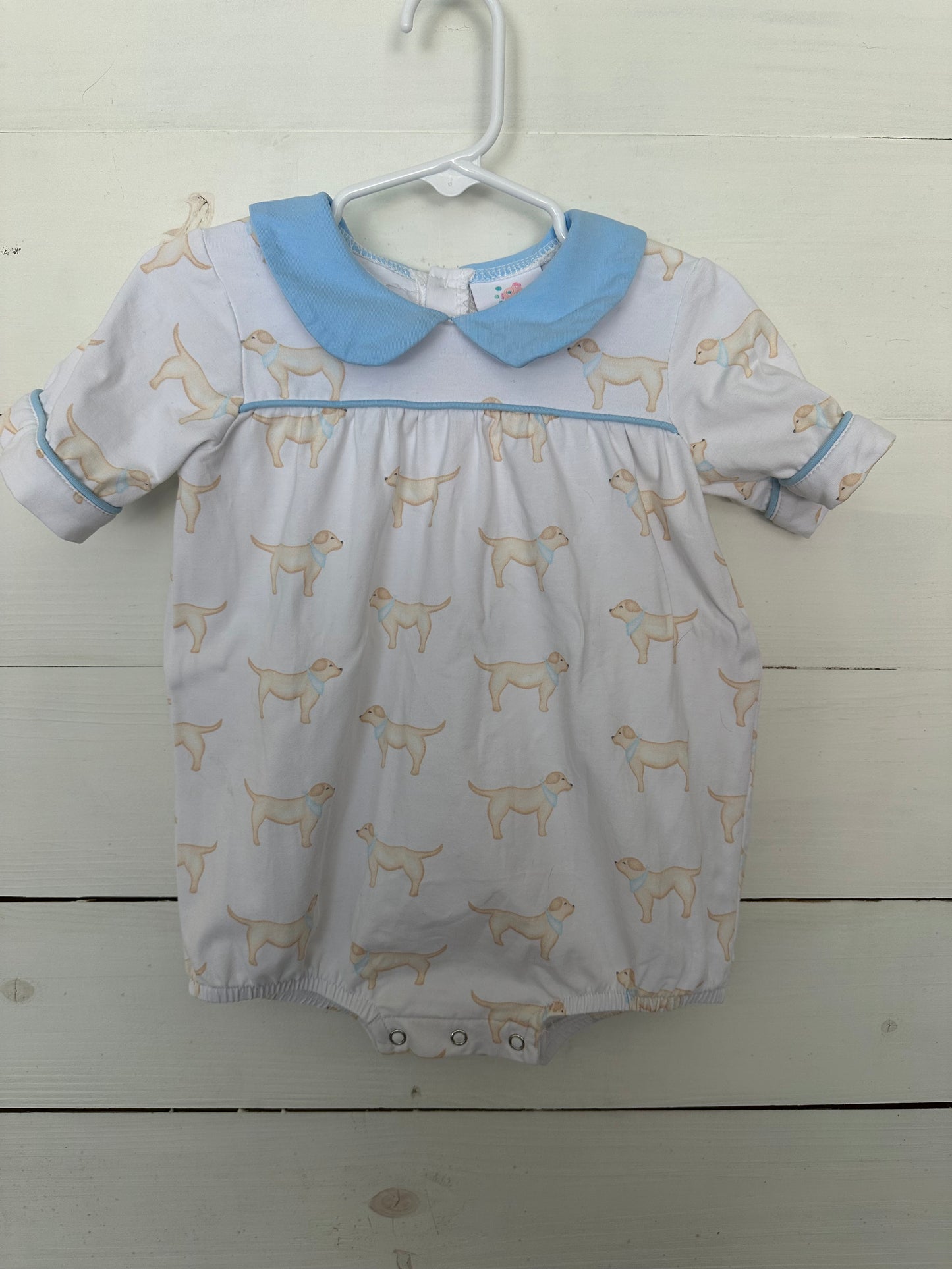 Stitchy Fish: Yellow lab bubble with peter pan collar and baby blue trim
