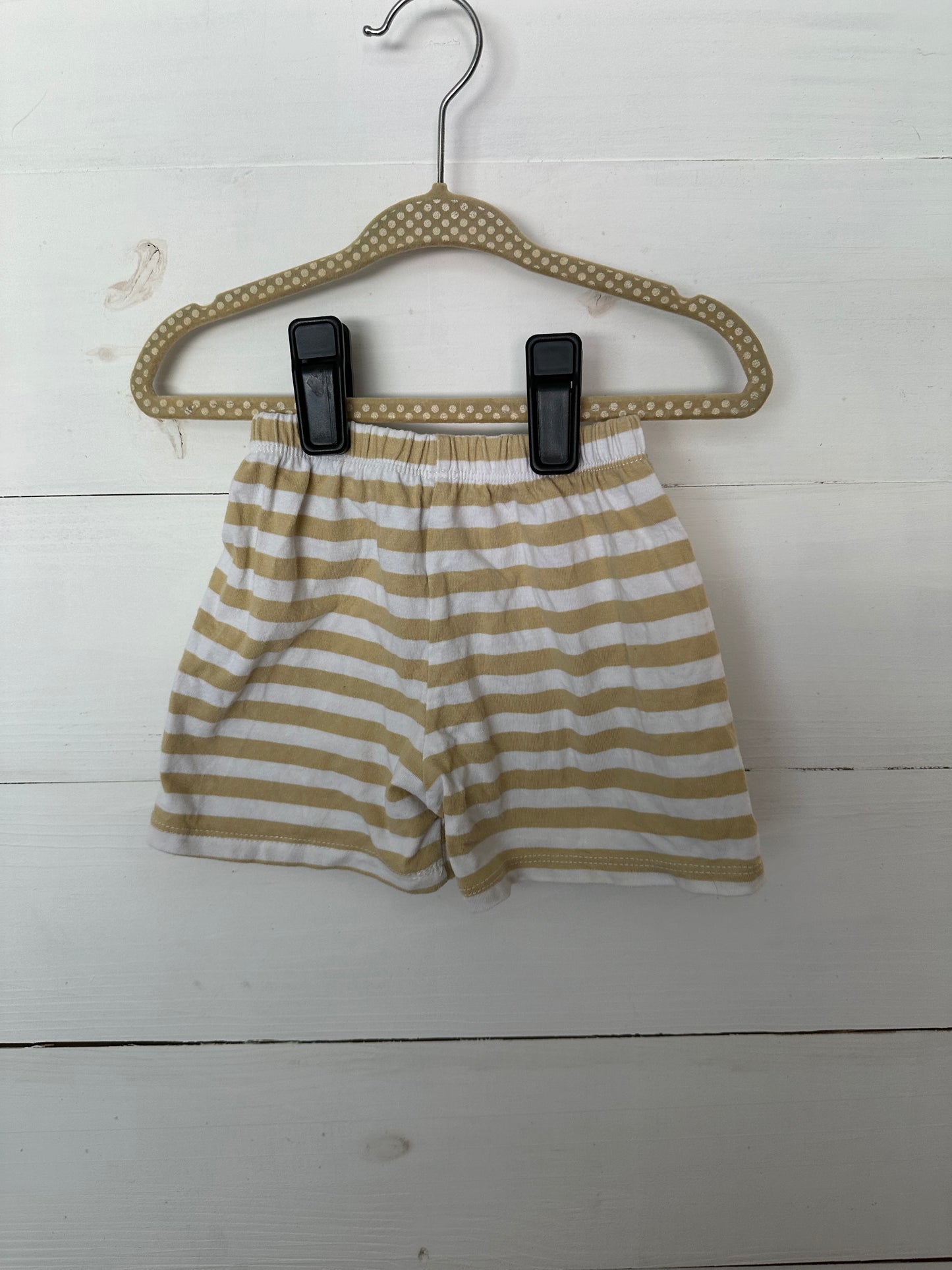 Flynn and Kelsey - UCF Knights Short/Shirt Set