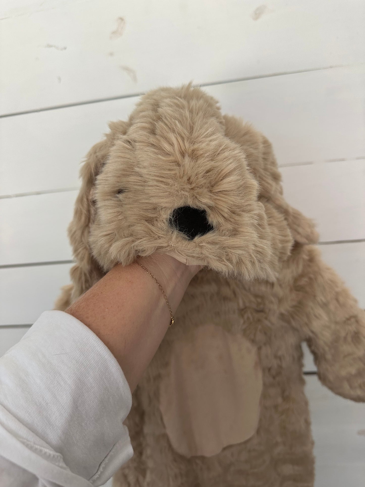 6-12M - Pottery Barn Kids - Puppy Dog Costume