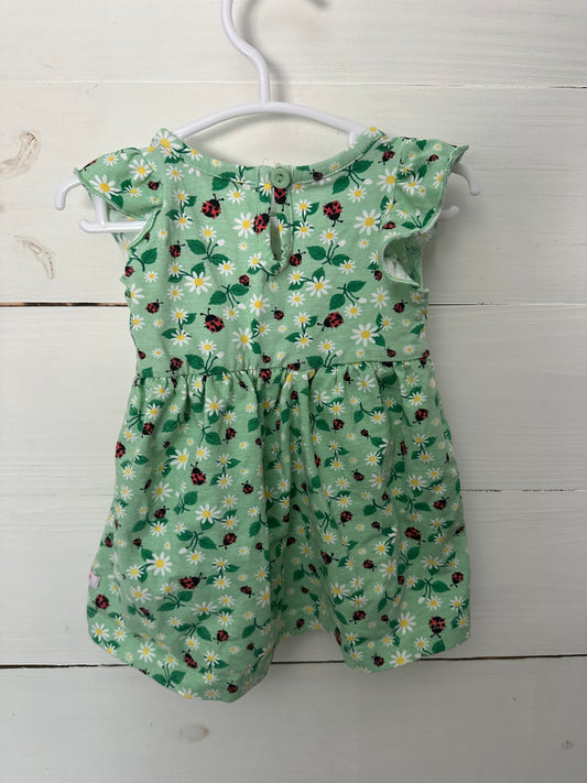 3-6M - Ruffle Butts Lady Bug Dress