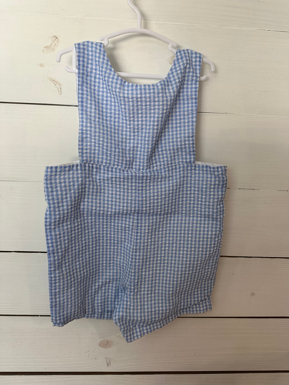 2T - Lil Cactus Blue Gingham Jon Jon