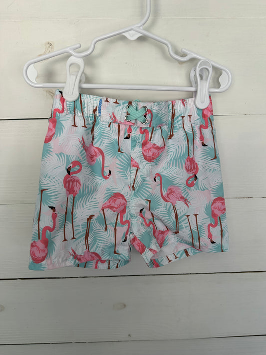 4T - Flamingo Rugged Butts Swim Trunks