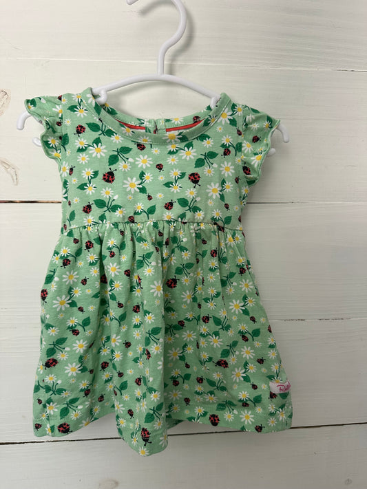 3-6M - Ruffle Butts Lady Bug Dress
