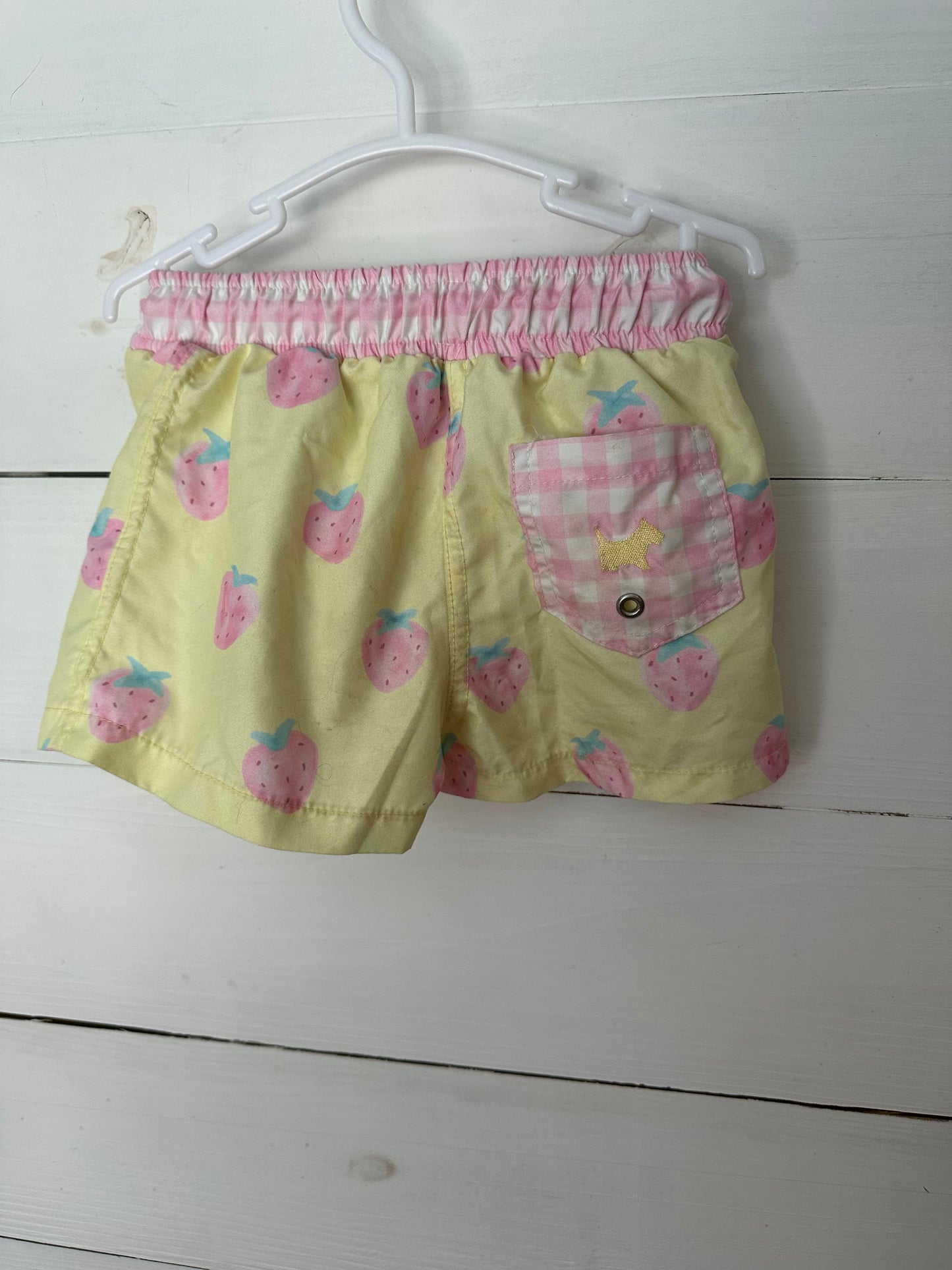 12M - Sal & Pimenta Strawberries & Sunshine Swim Trunks