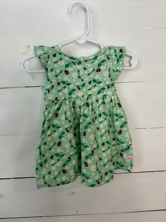 3-6M - Ruffle Butts Daisies and Lady Bug Dress NWT
