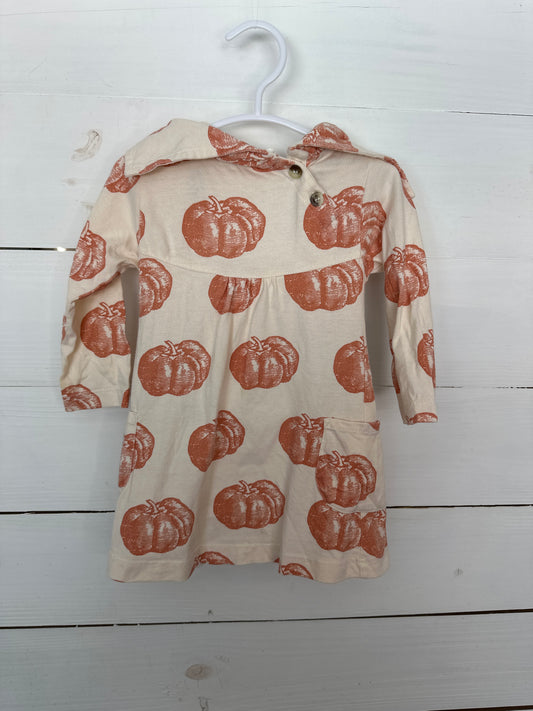12/18m - Kate Quinn Pumpkin Top with matching diaper cover