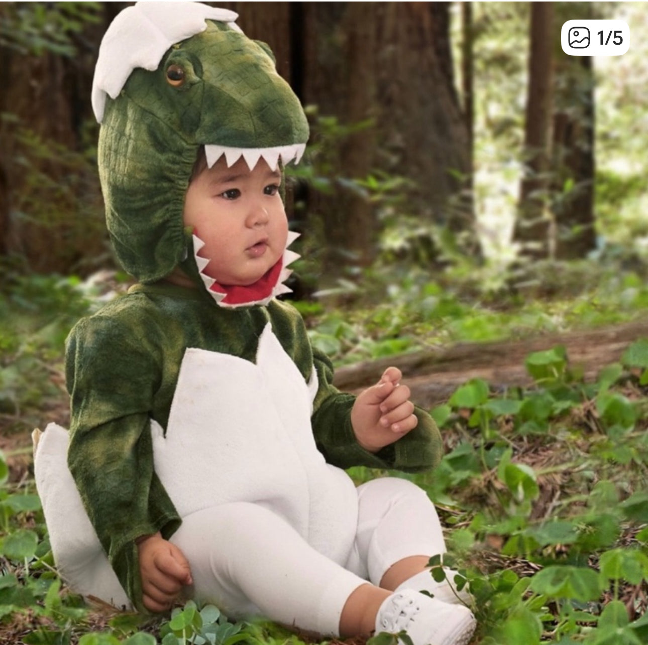 6-12M - Pottery Barn Kids - Baby Dino Egg Costume