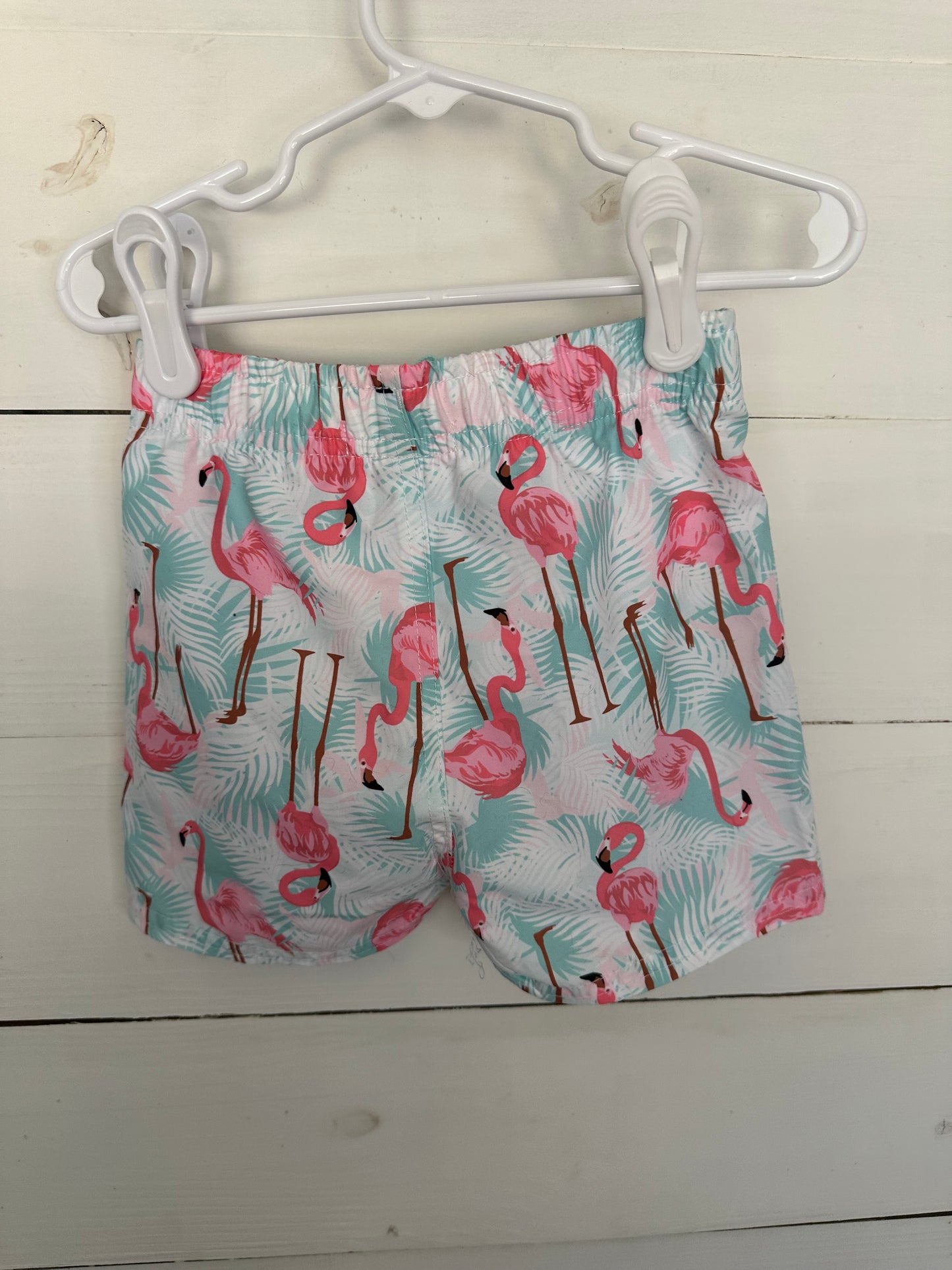 4T - Flamingo Rugged Butts Swim Trunks