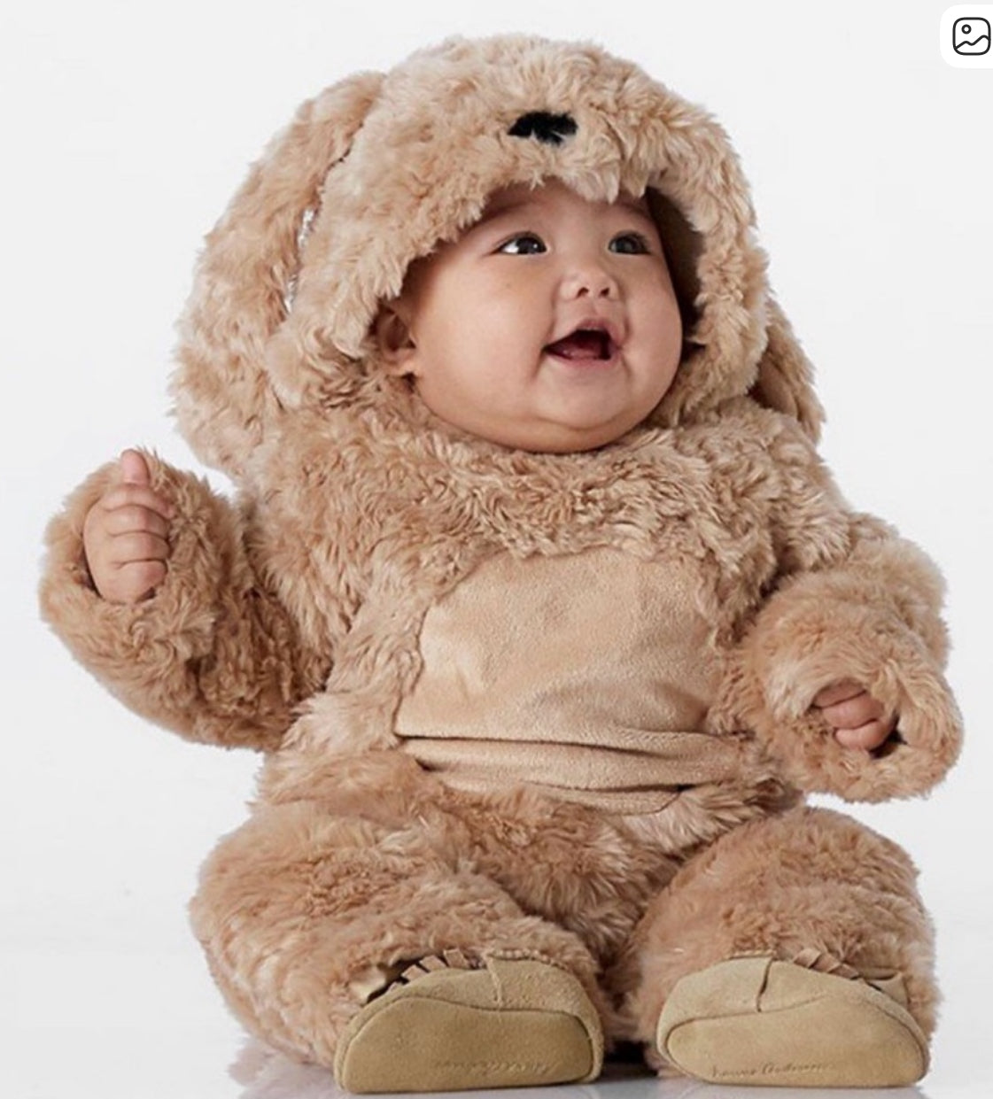 6-12M - Pottery Barn Kids - Puppy Dog Costume