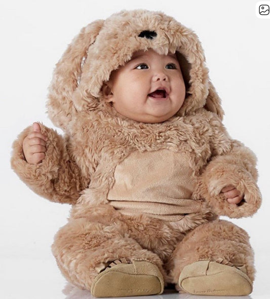 6-12M - Pottery Barn Kids - Puppy Dog Costume