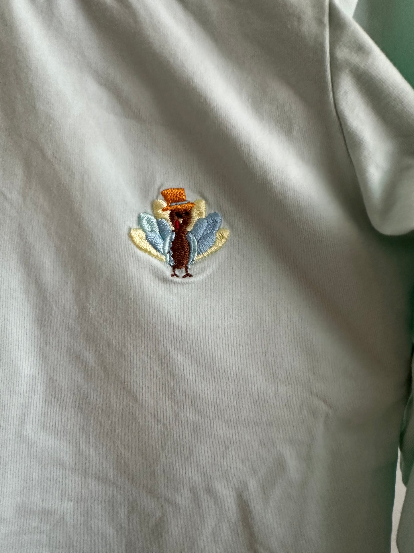 2T - Busy Bee's Thanksgiving Shorts and Matching Shirt