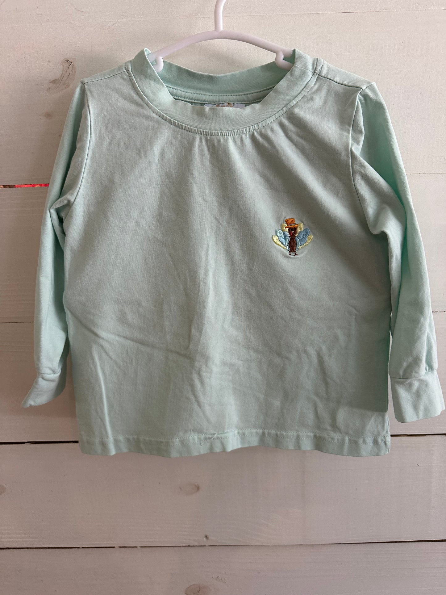 2T - Busy Bee's Thanksgiving Shorts and Matching Shirt