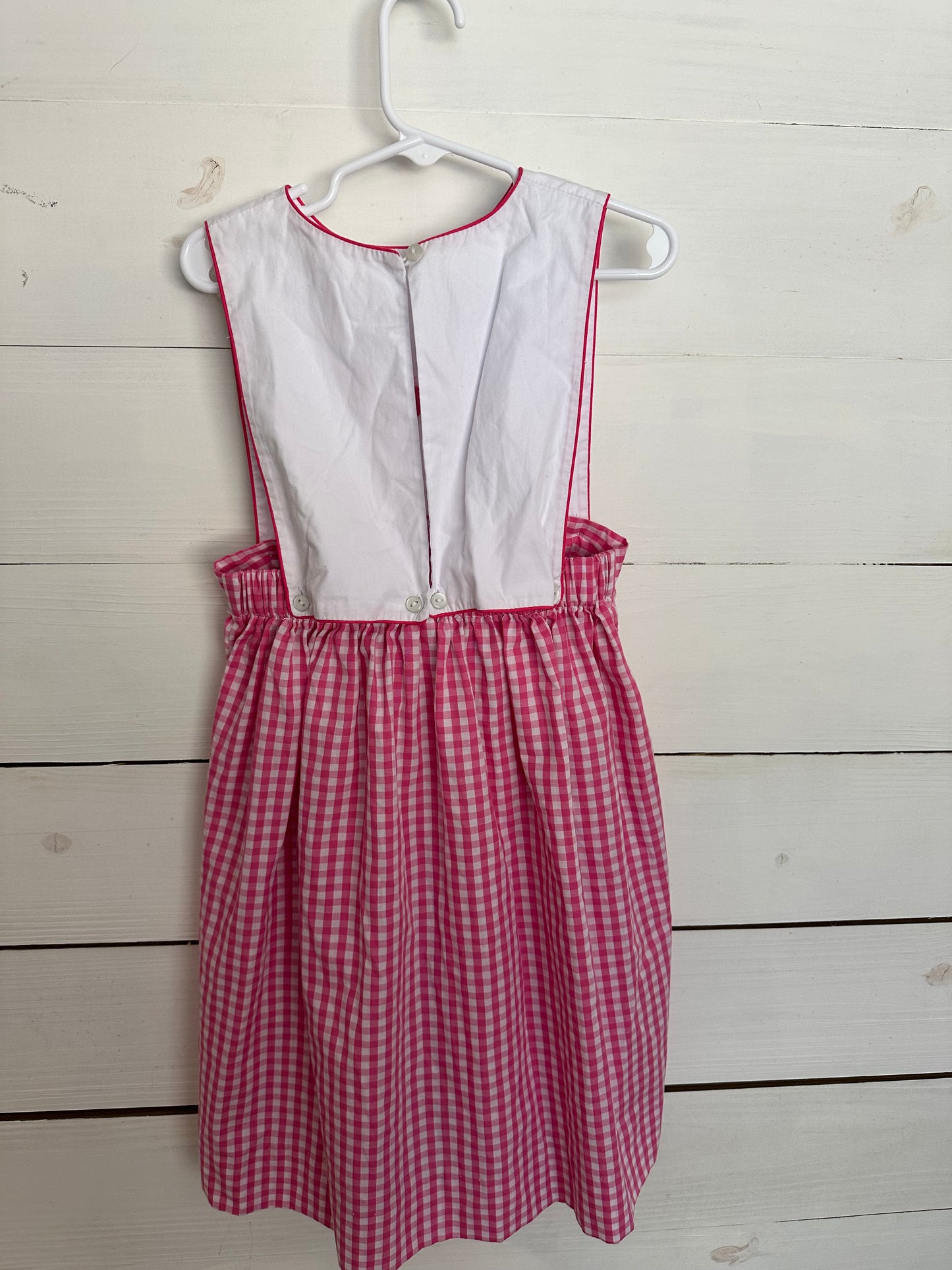 Southern Sunshine Pink Gingham Dress with Charlie Embroidered